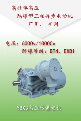 YBX3高壓防爆電機-6kv，10kv